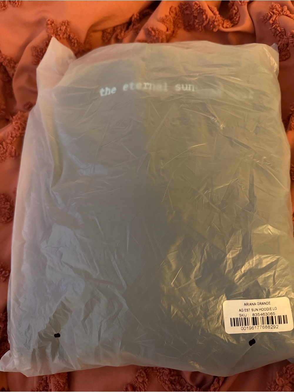 Ariana Grande Eternal Sunshine Tour Hoodie - Picture 2 of 3